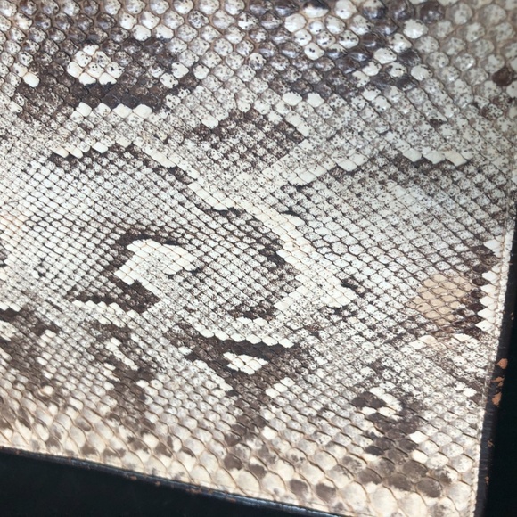 Vintage Snake Skin Clutch Purse - Picture 11 of 16